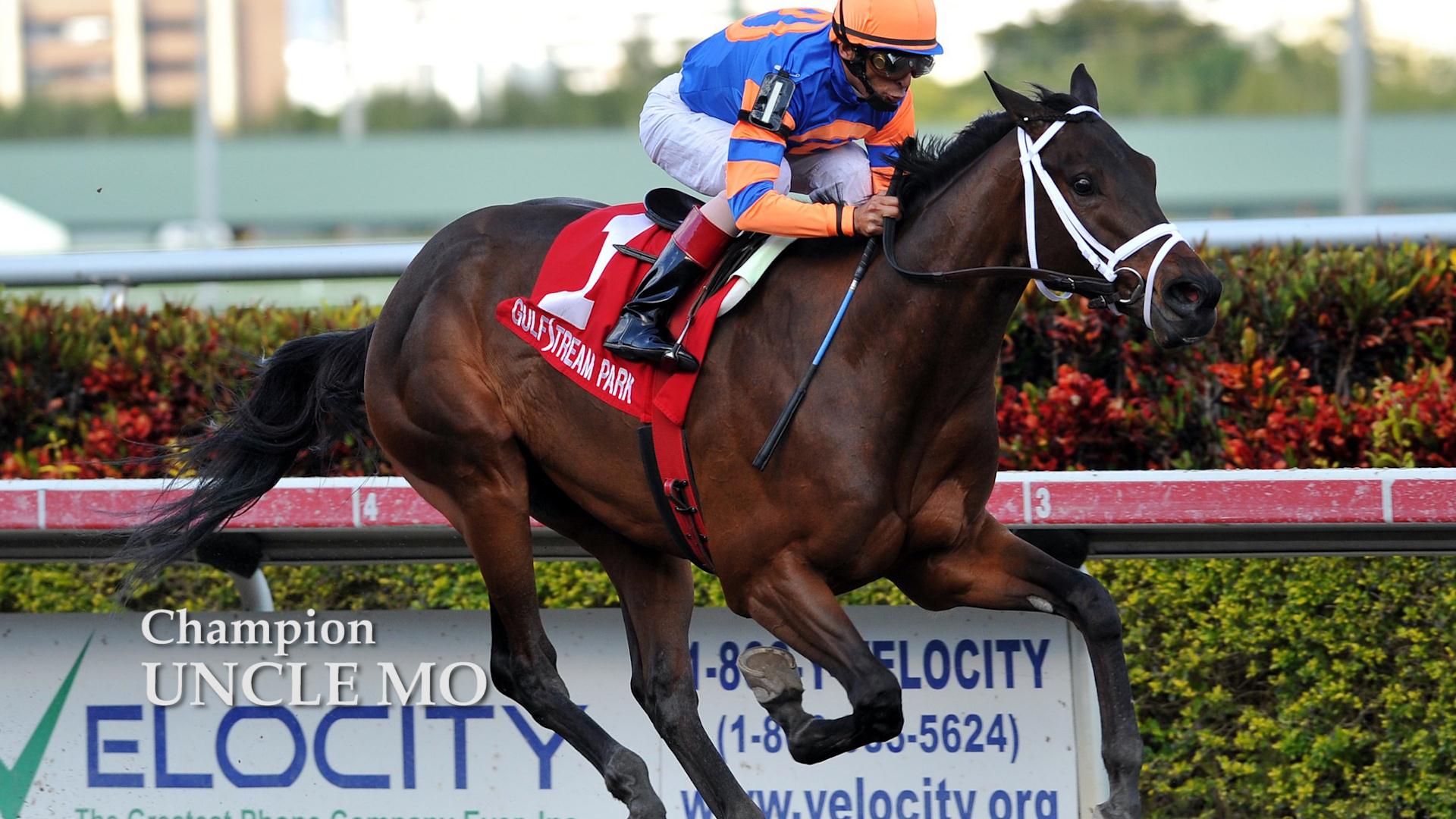 Photo Tour Denali Stud Thoroughbred farm in Paris, KY