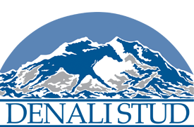 Denali Stud