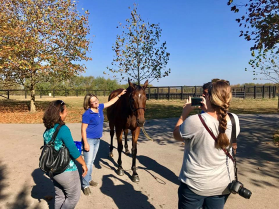 denali stud farm tours