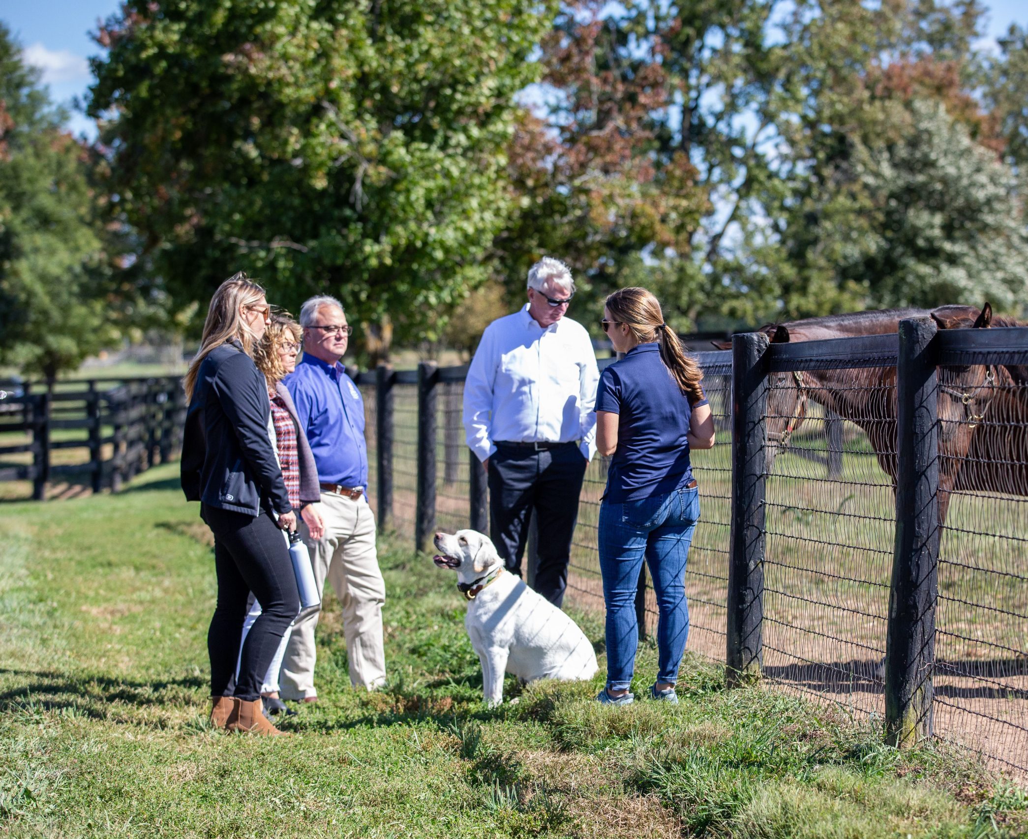 denali stud farm tours